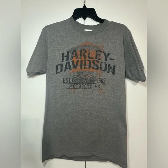 Harley-Davidson distressed logo t-shirt, gray short-sleeve.  Cherohala Skyway. - Picture 2 of 6